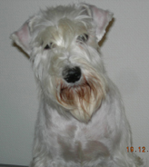 Bild Bibbi